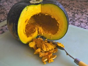 kabocha