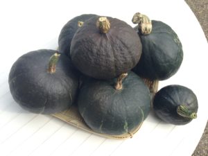Introduction to Japanese Food : Autumn 2018